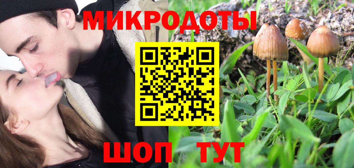 Менделеевск  Псилоцибиновые грибы Psilocybine cubensis  Вход с VPN 